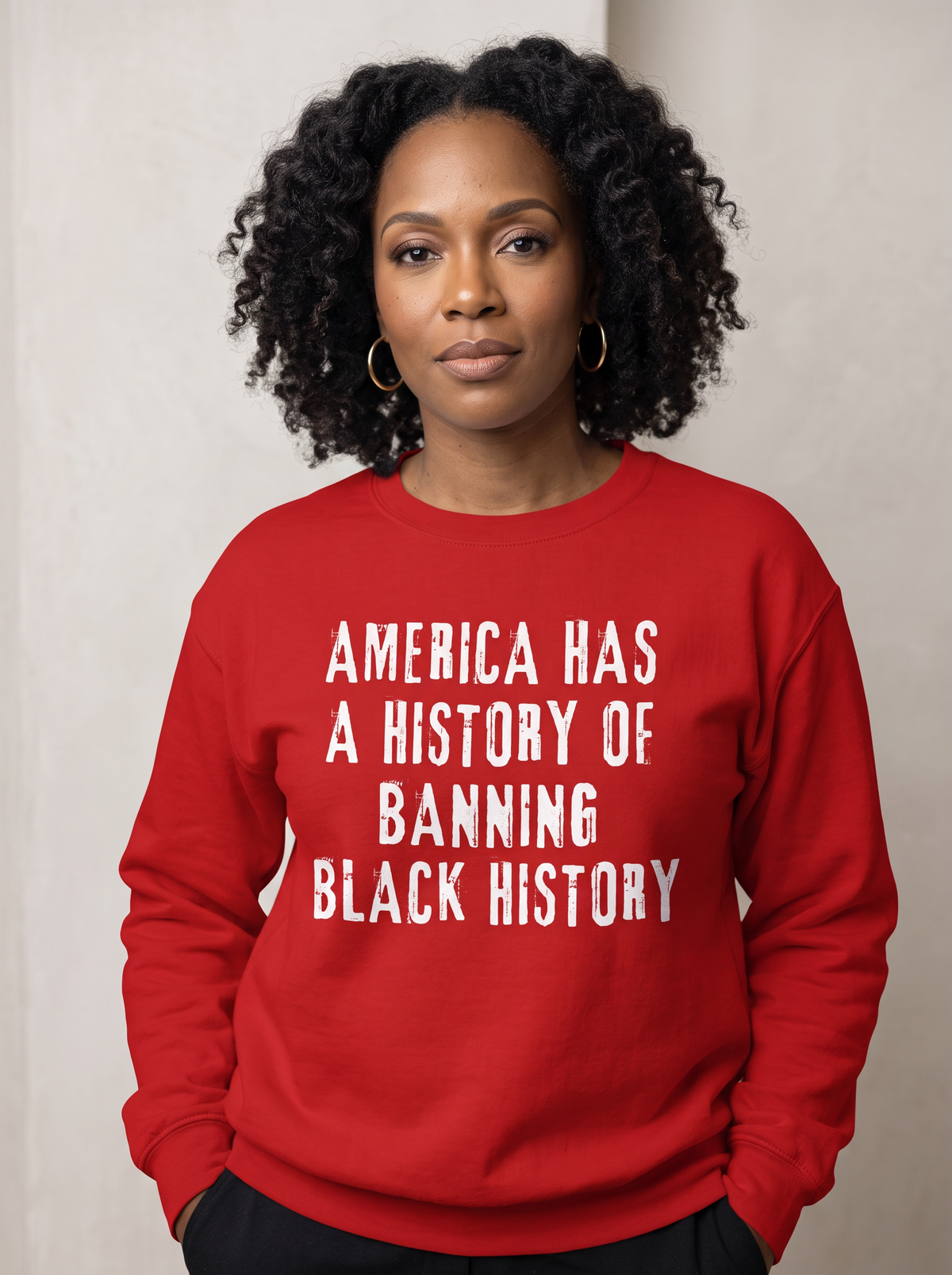 America Has A History of Banning Black History Unisex Premium Sweatshirt